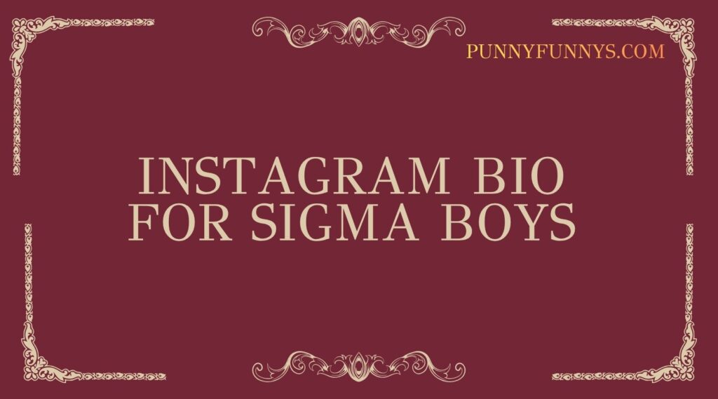 Instagram Bio for Sigma Boys
