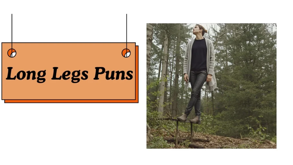 Long Legs Puns