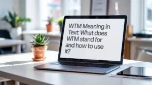 WTM Meaning in Text